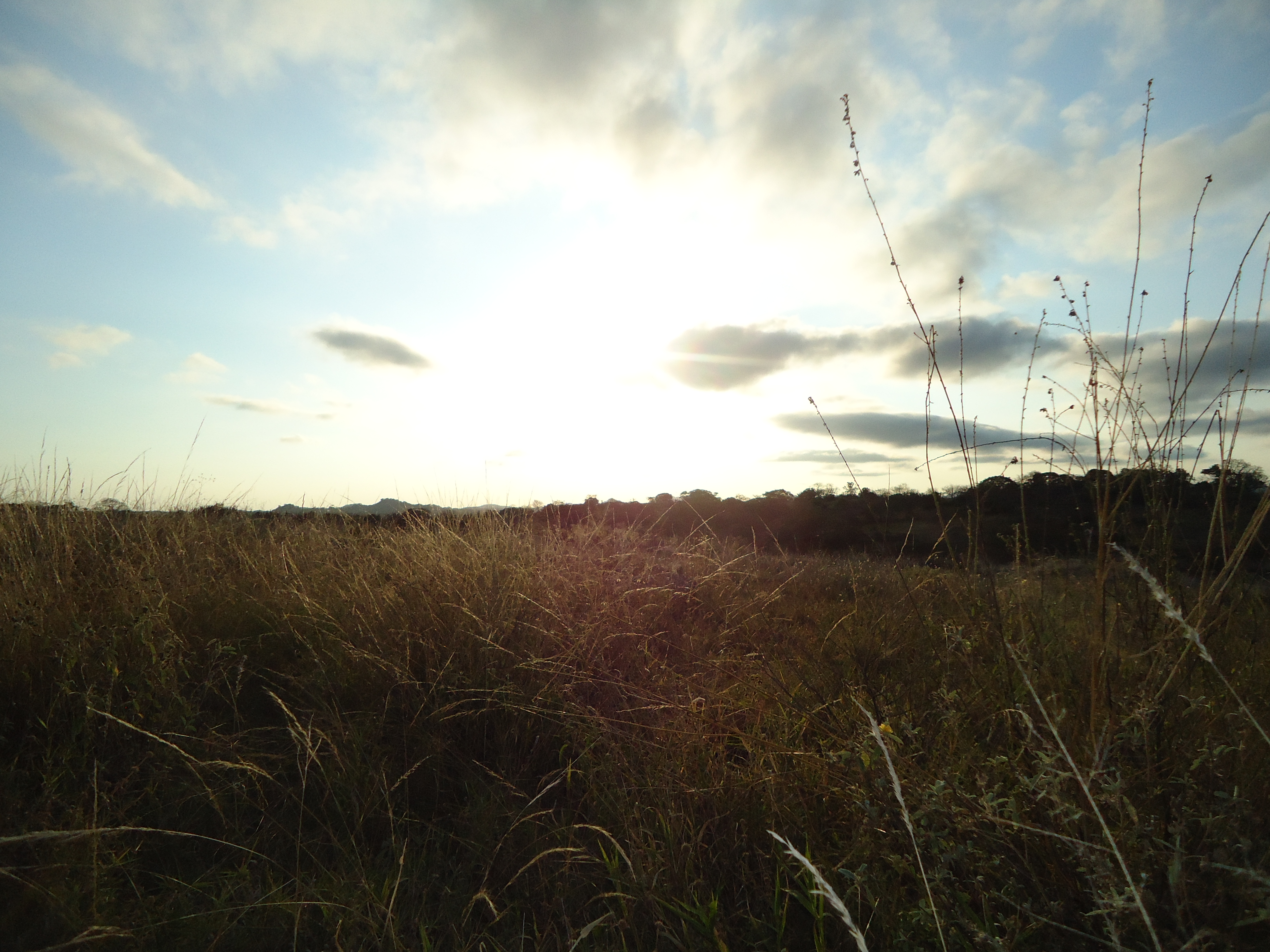 DSC01506.JPG