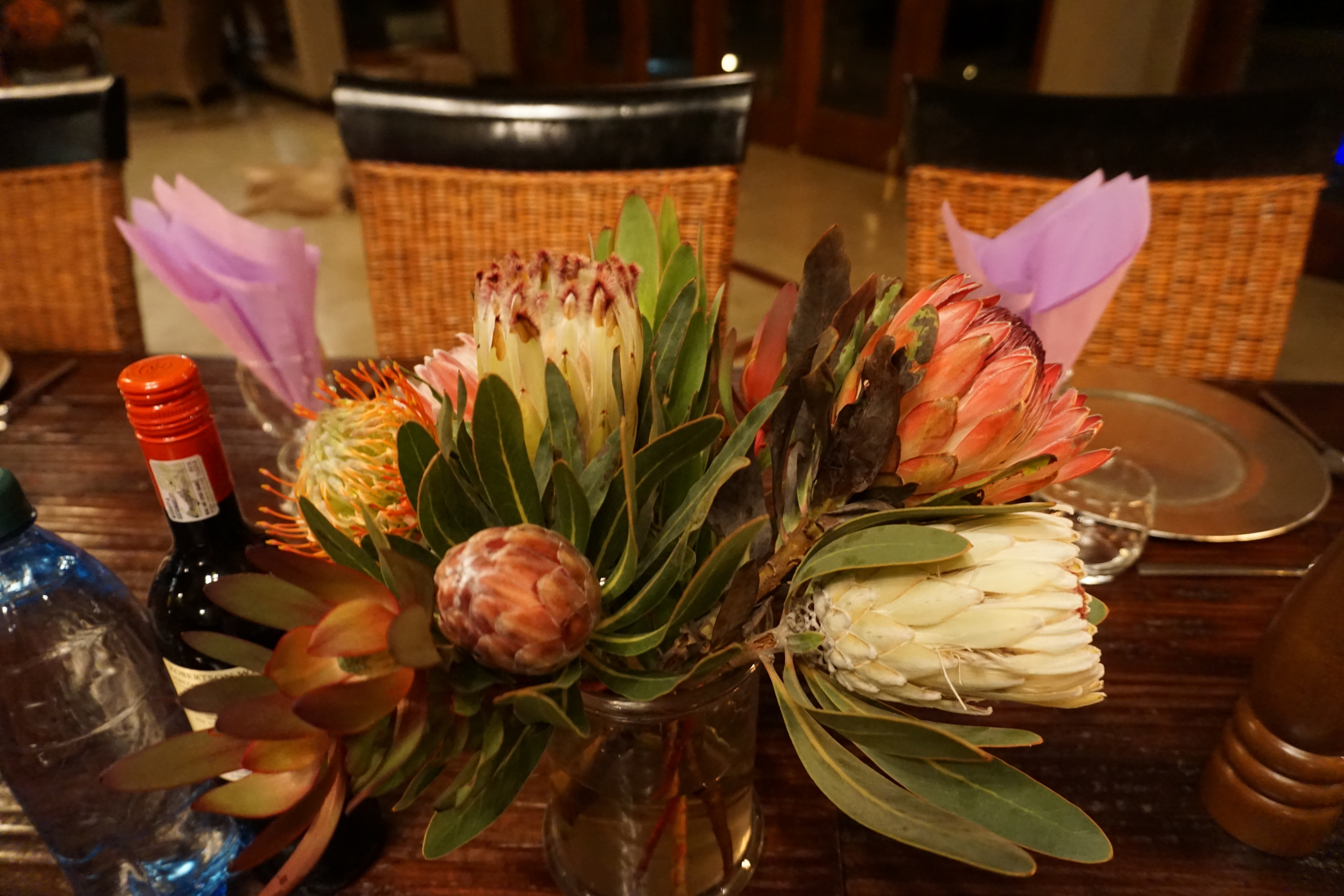 DSC02224.JPG