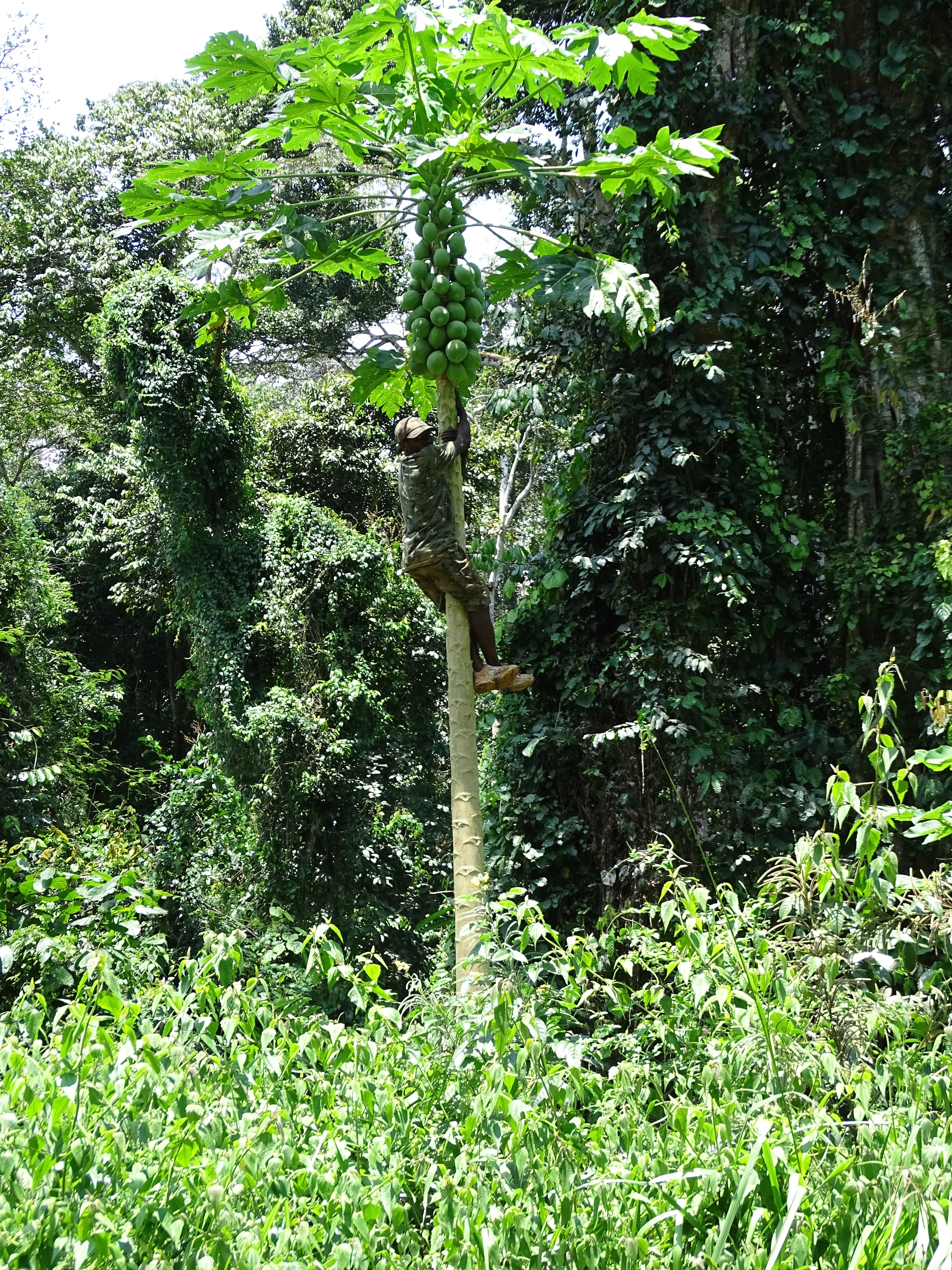 DSC04365.jpg