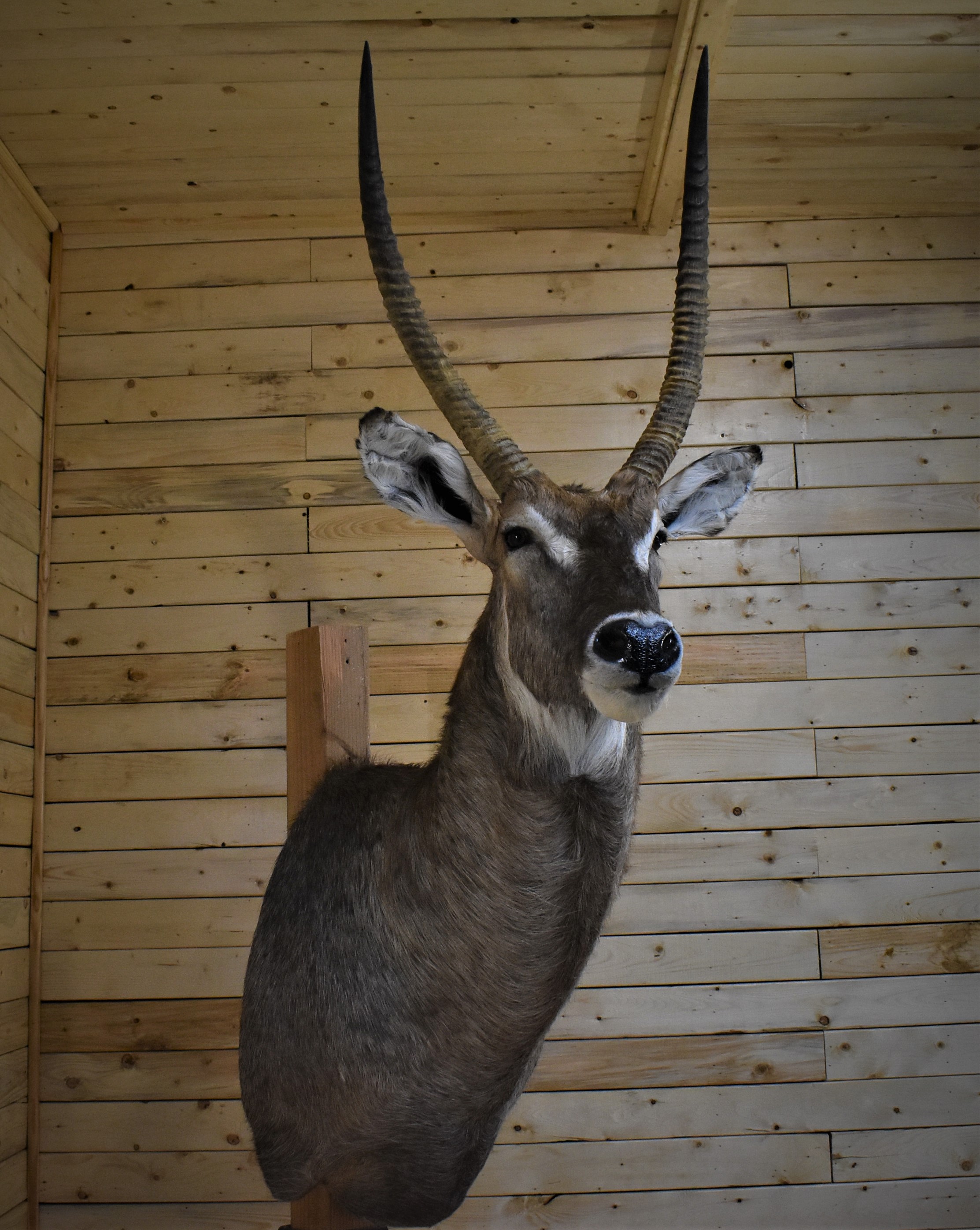 DSC_0021.JPG