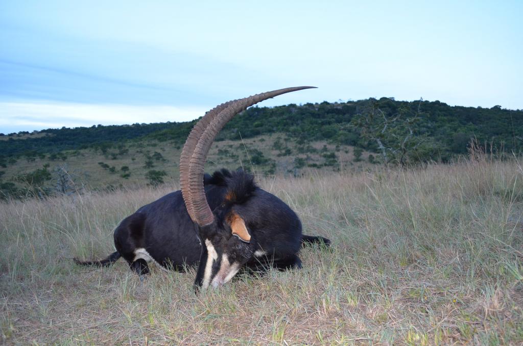 DSC_0738_zpseb1ec4d9.jpg DSC_0738_zpseb1ec4d9.jpg