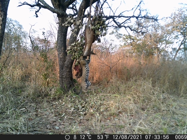DSCF0069.JPG