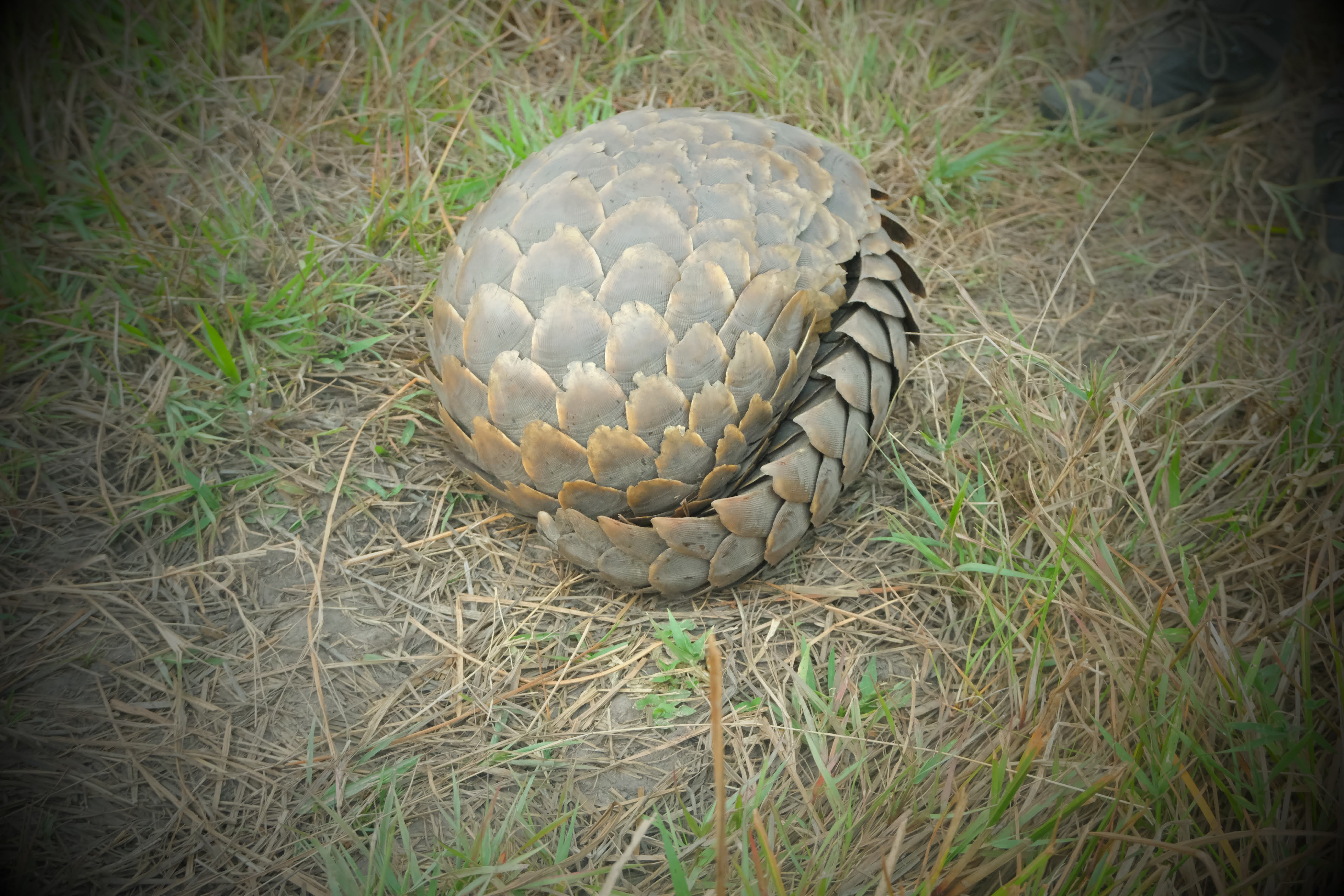 DSCF0524.jpeg