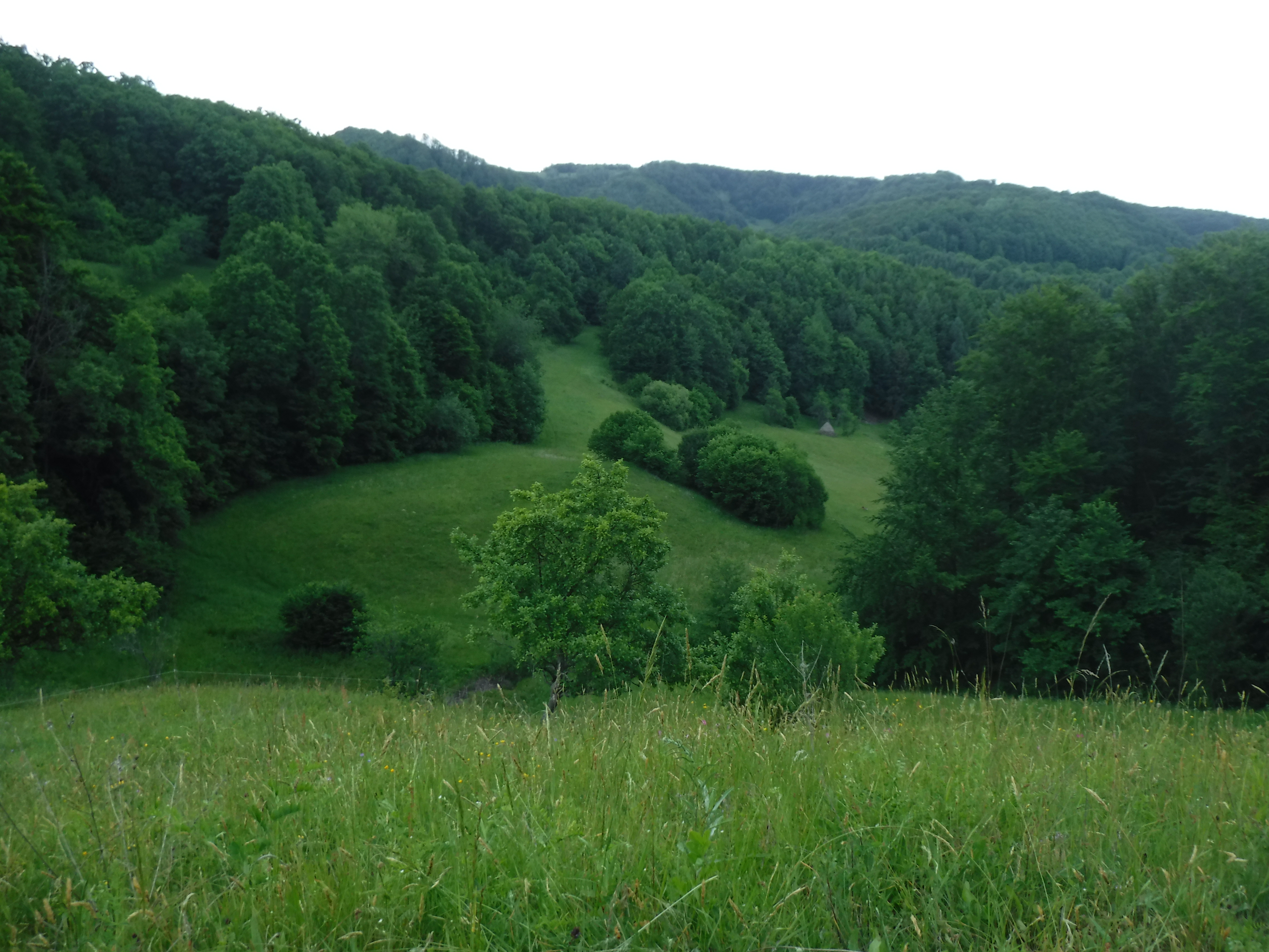 DSCF1493.JPG