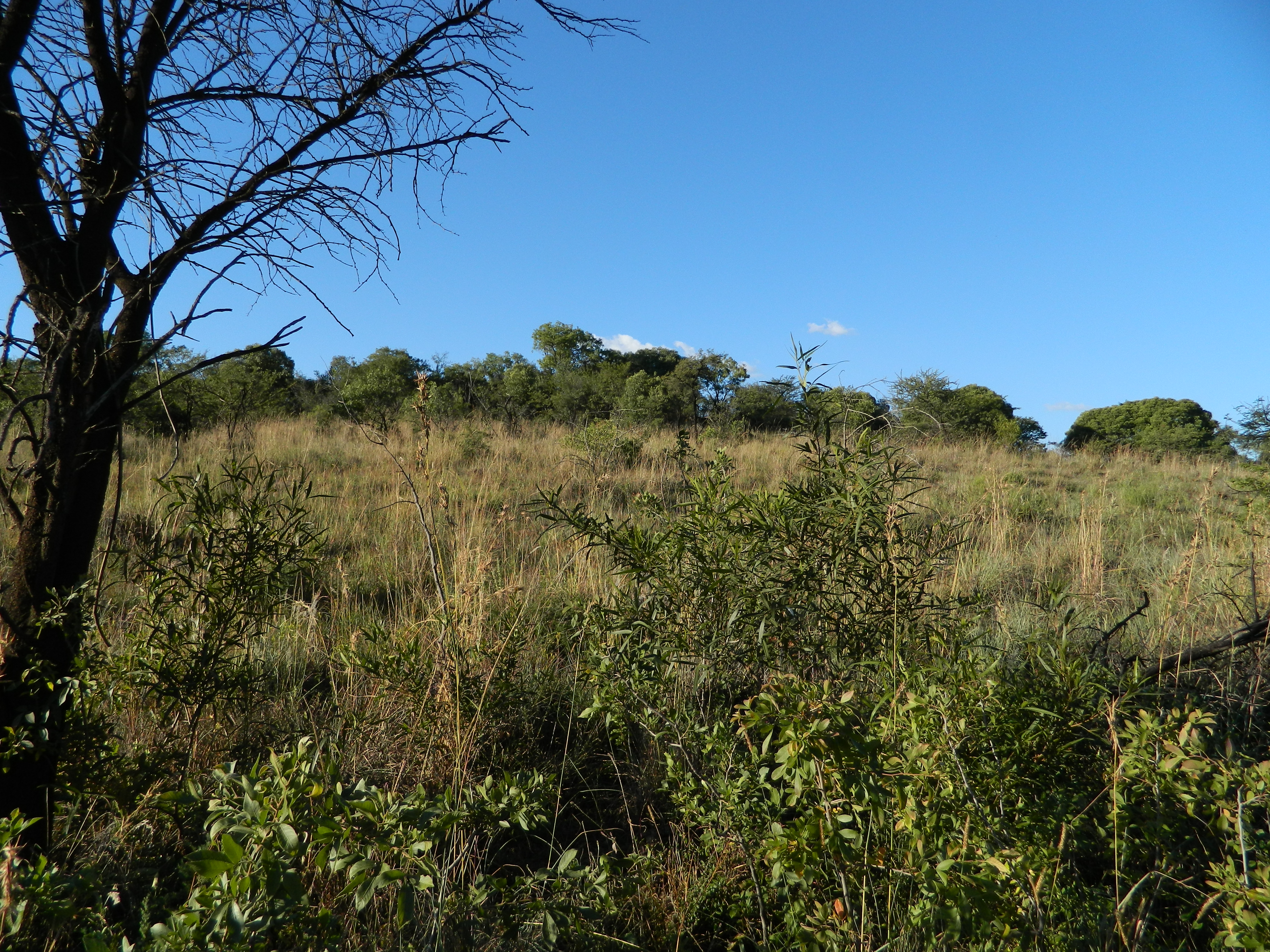 DSCN3170.JPG