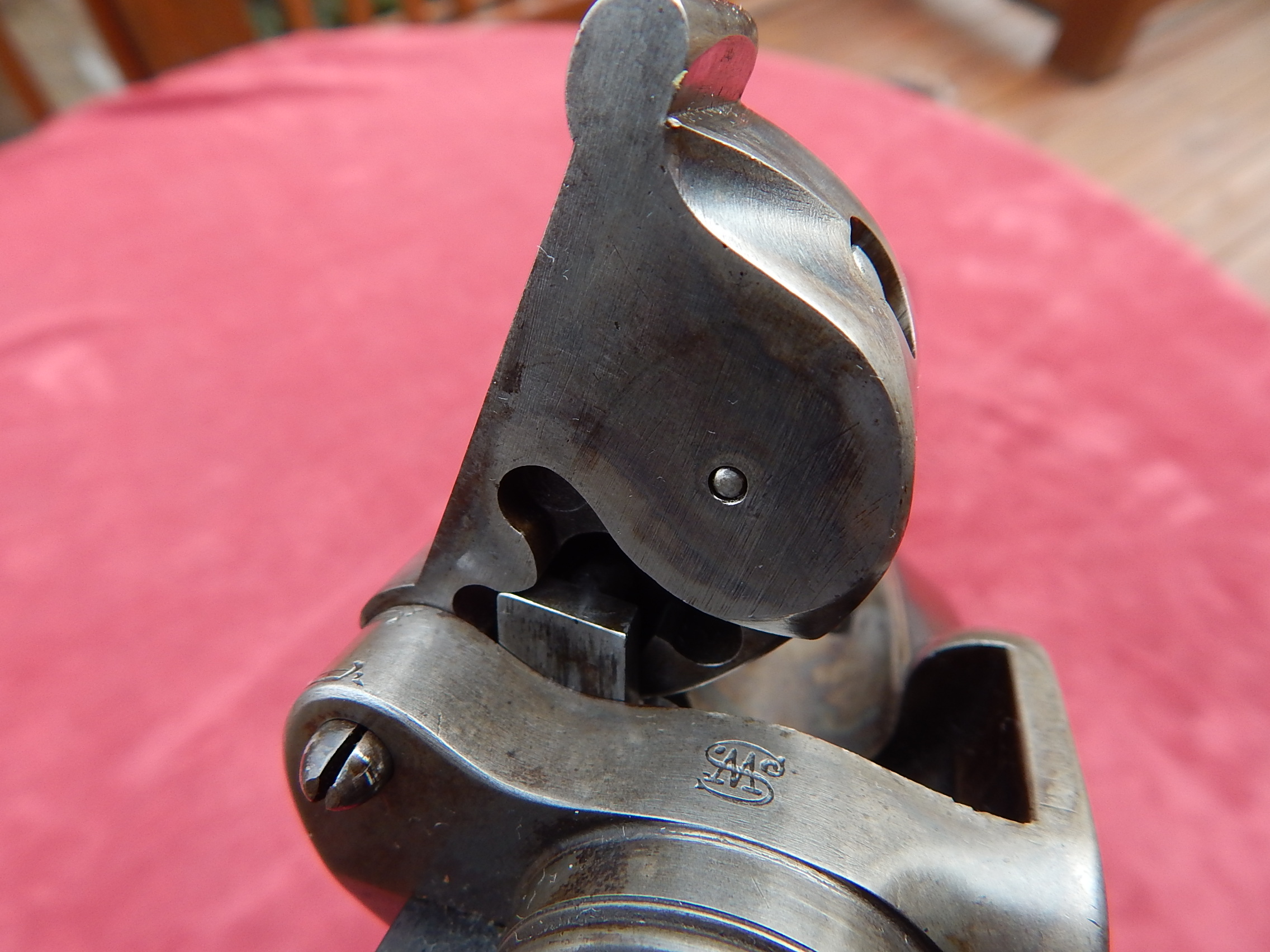 DSCN3517.JPG