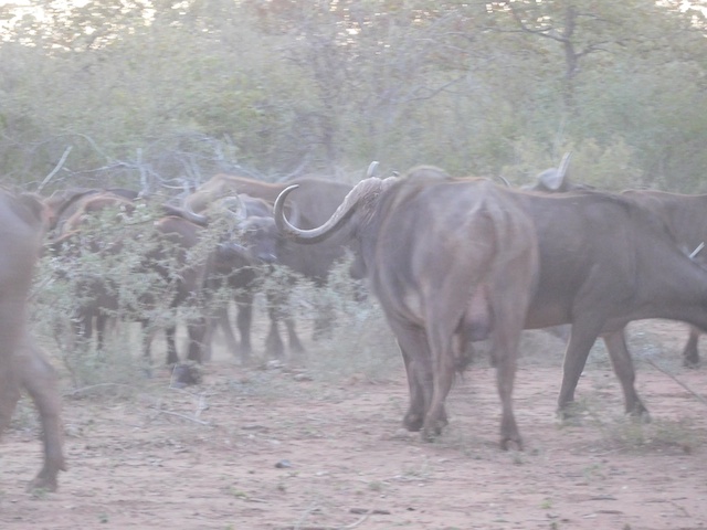 DSCN4161.jpg