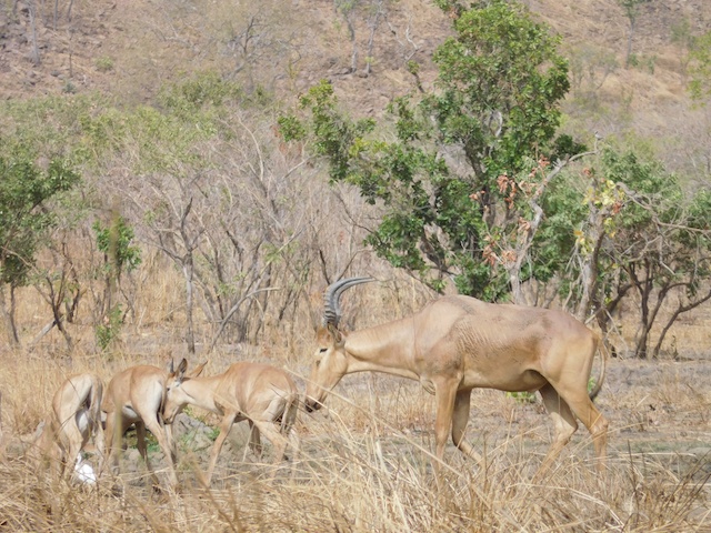 DSCN5449.jpg