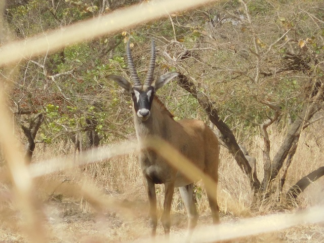 DSCN5478.jpg