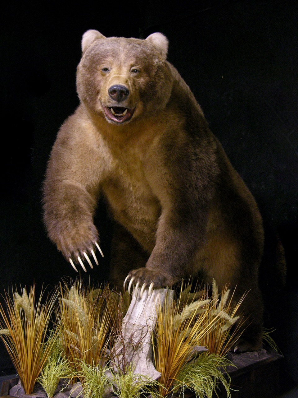life size brown teddy bear