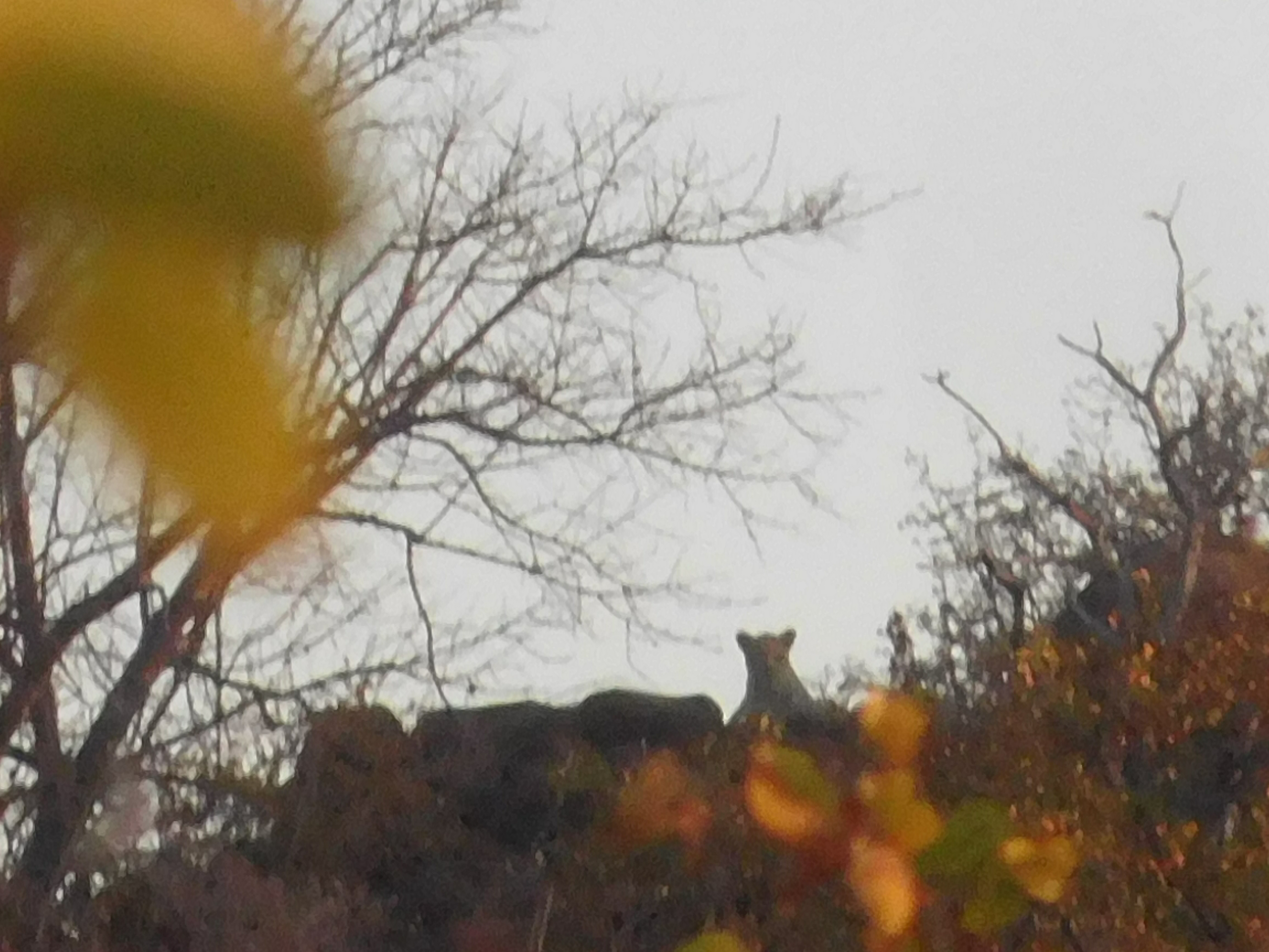 DSCN8418.jpg
