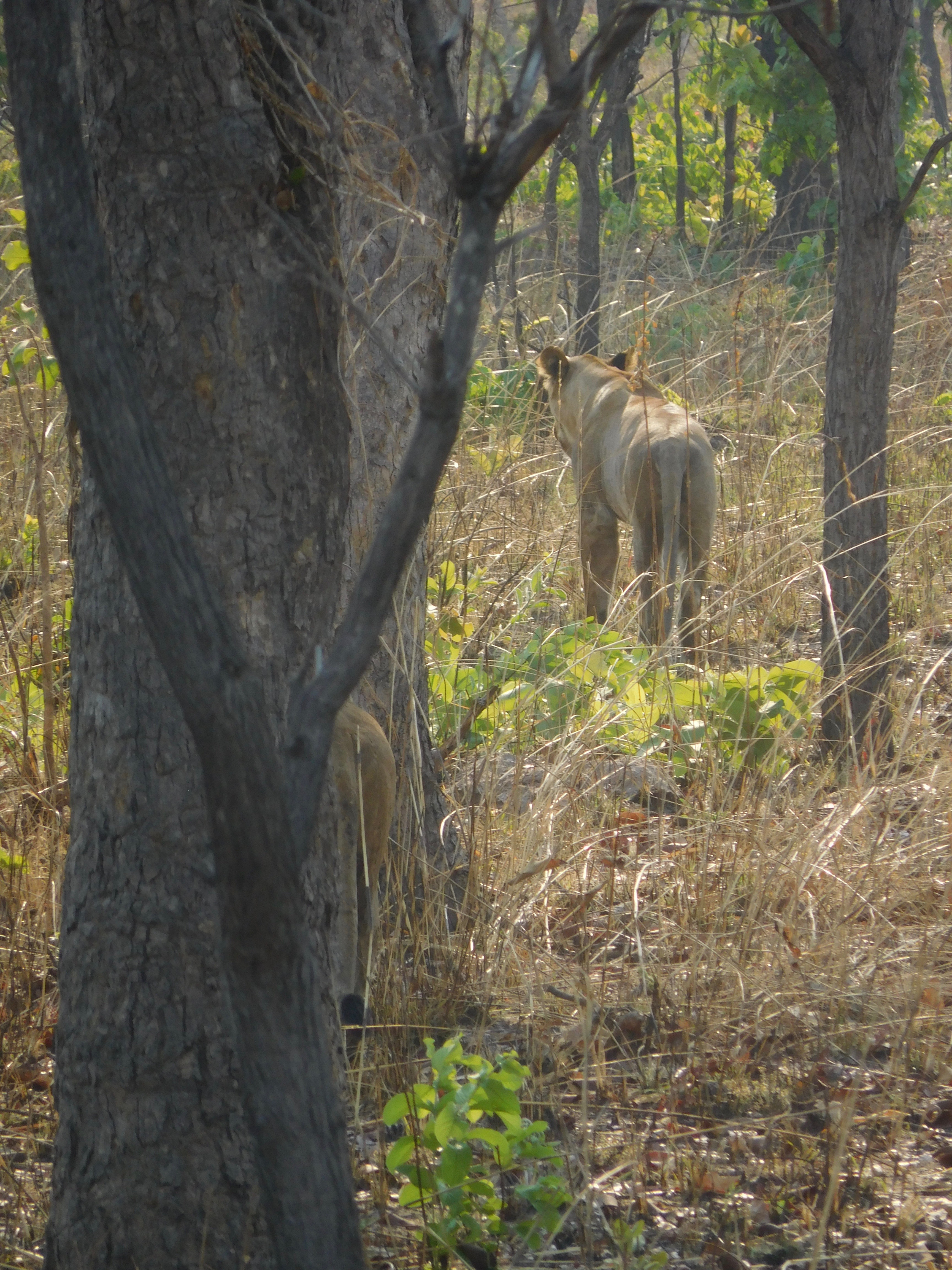 DSCN8749.jpg