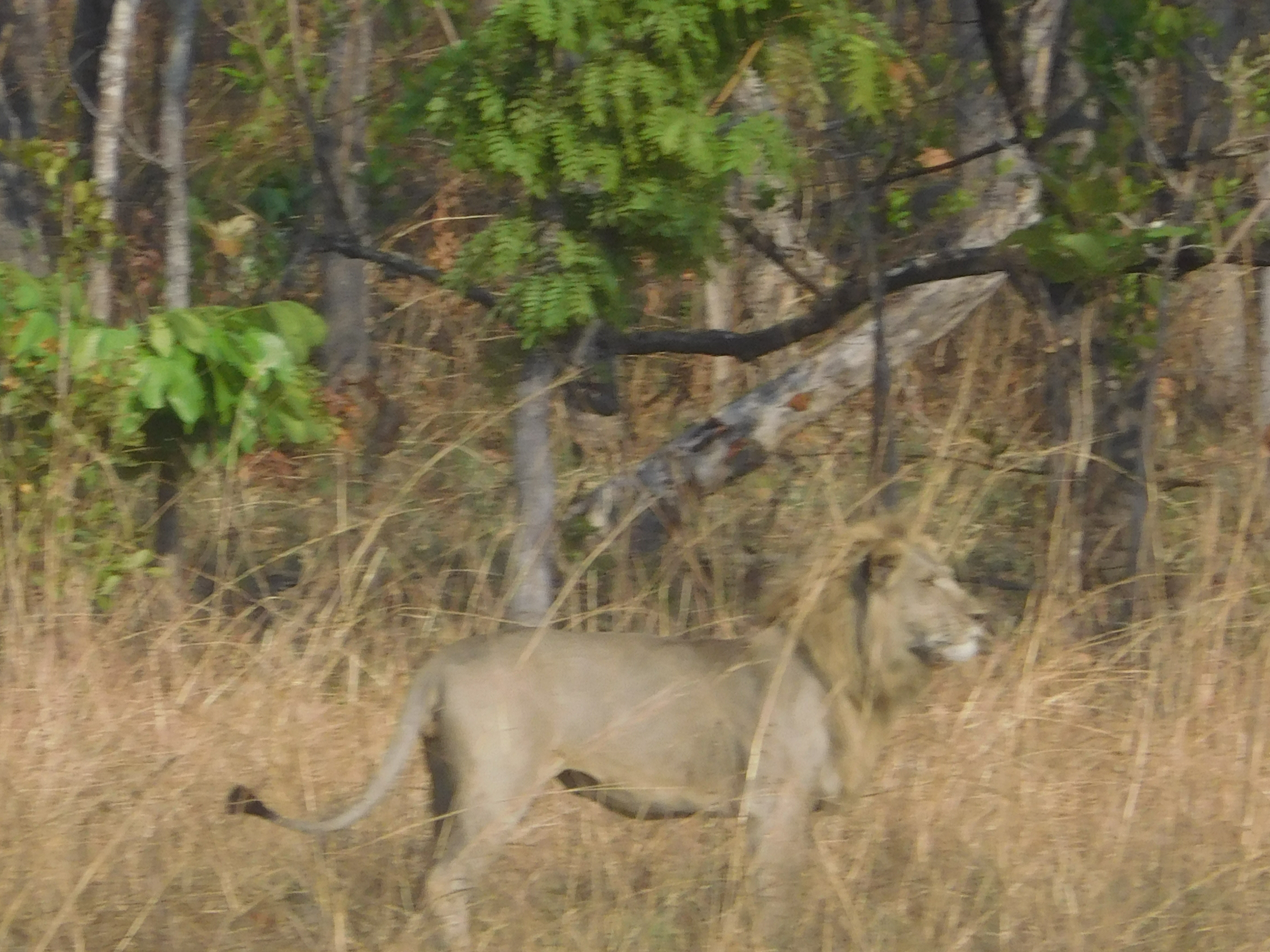 DSCN8886.jpg