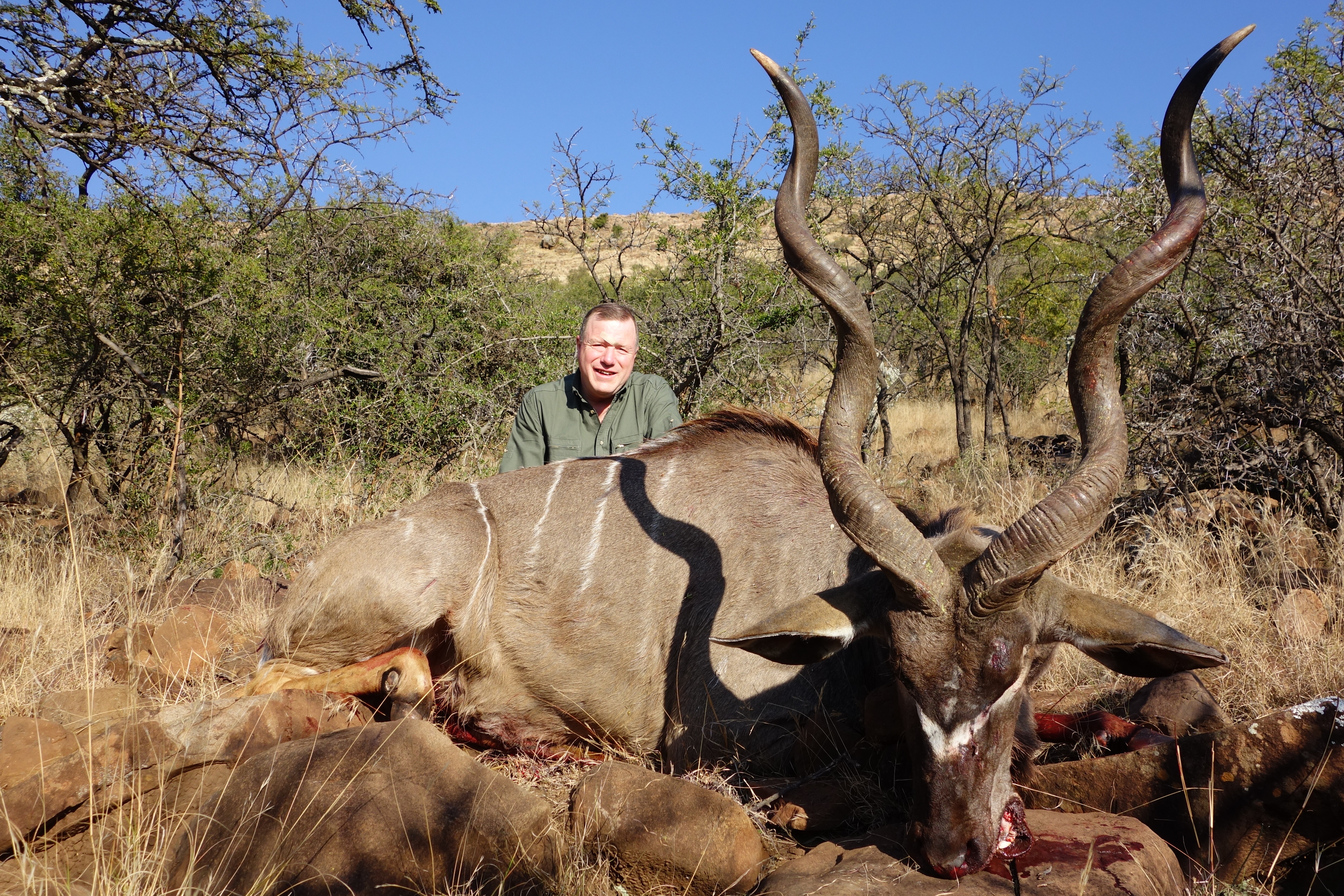 Eastern Cape Kudu.JPG