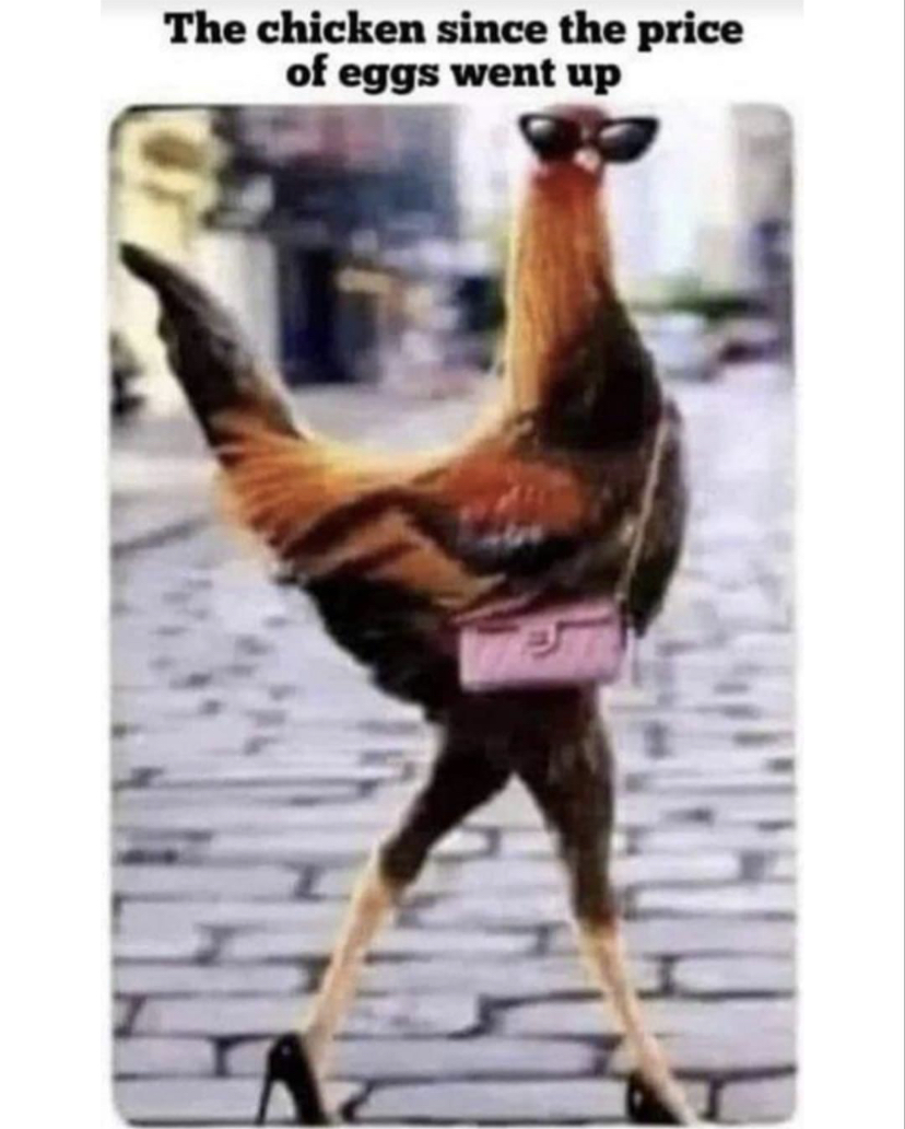 eggs.jpg