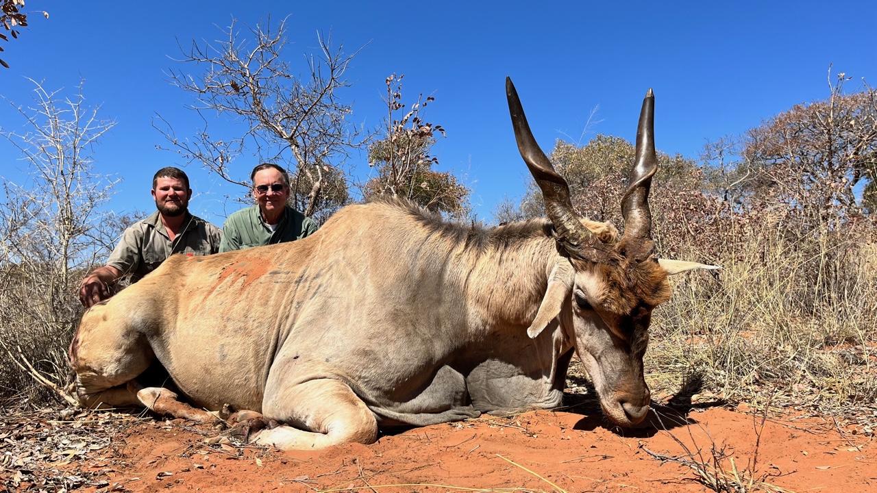 Eland 4.jpeg