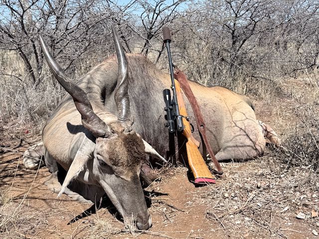 Eland3.jpeg