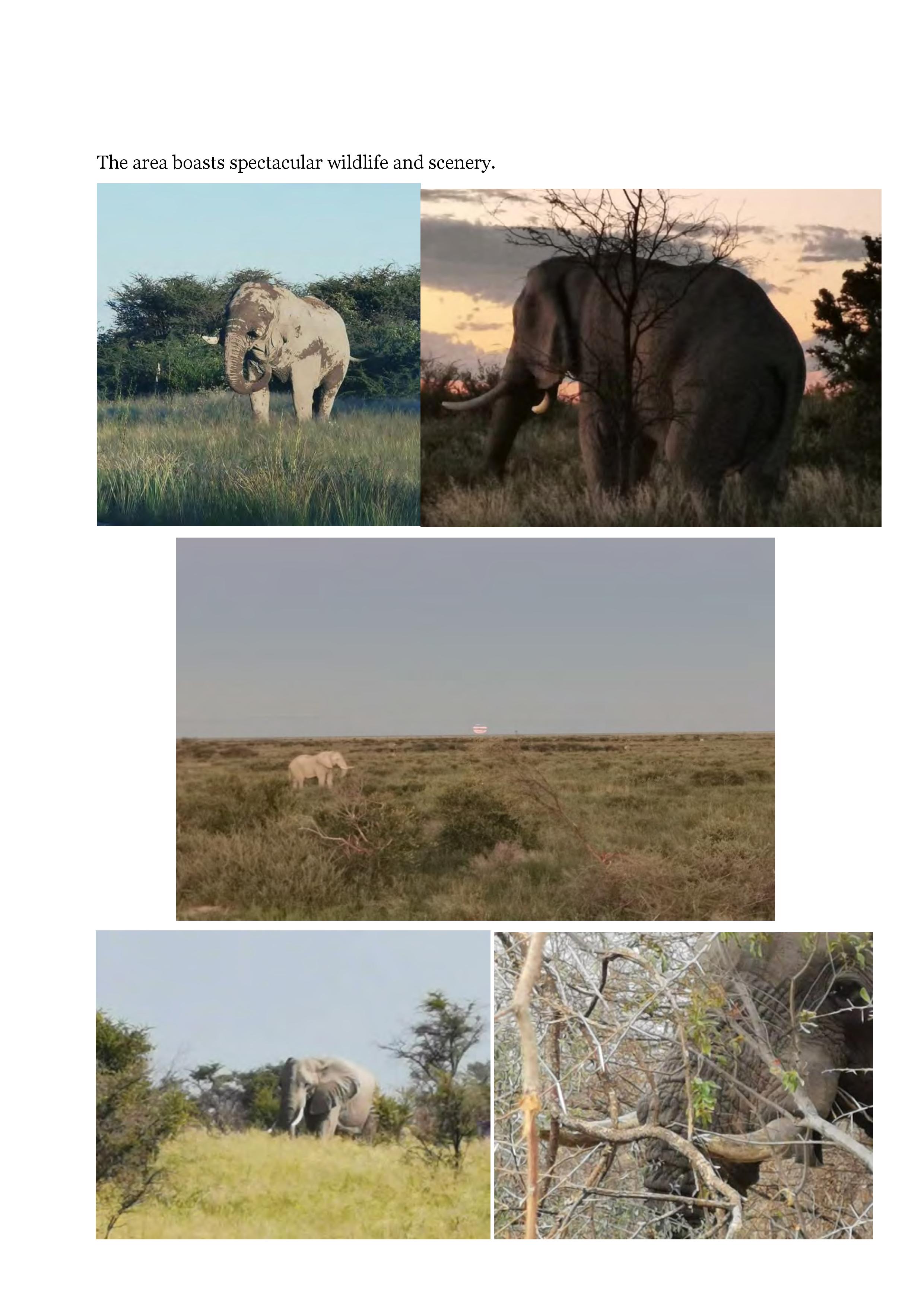 Elephant Hunting NG49 Nkwe-page-004.jpg