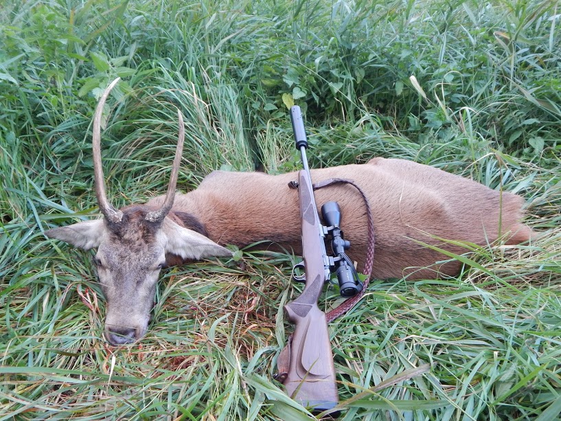 england camera 020.JPG