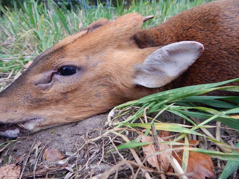 england camera 081.JPG