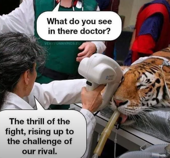 EyeOfTheTiger.PNG