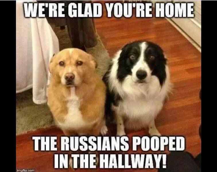 F07C6D4B-5DF2-4255-B8A7-8EDECC50C382.jpeg