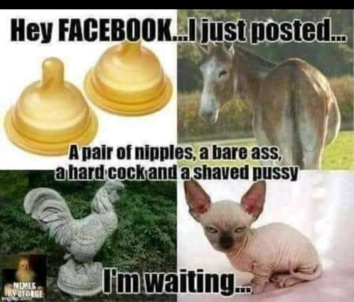 F3E139DF-747F-4777-8518-B208533F0077.jpeg