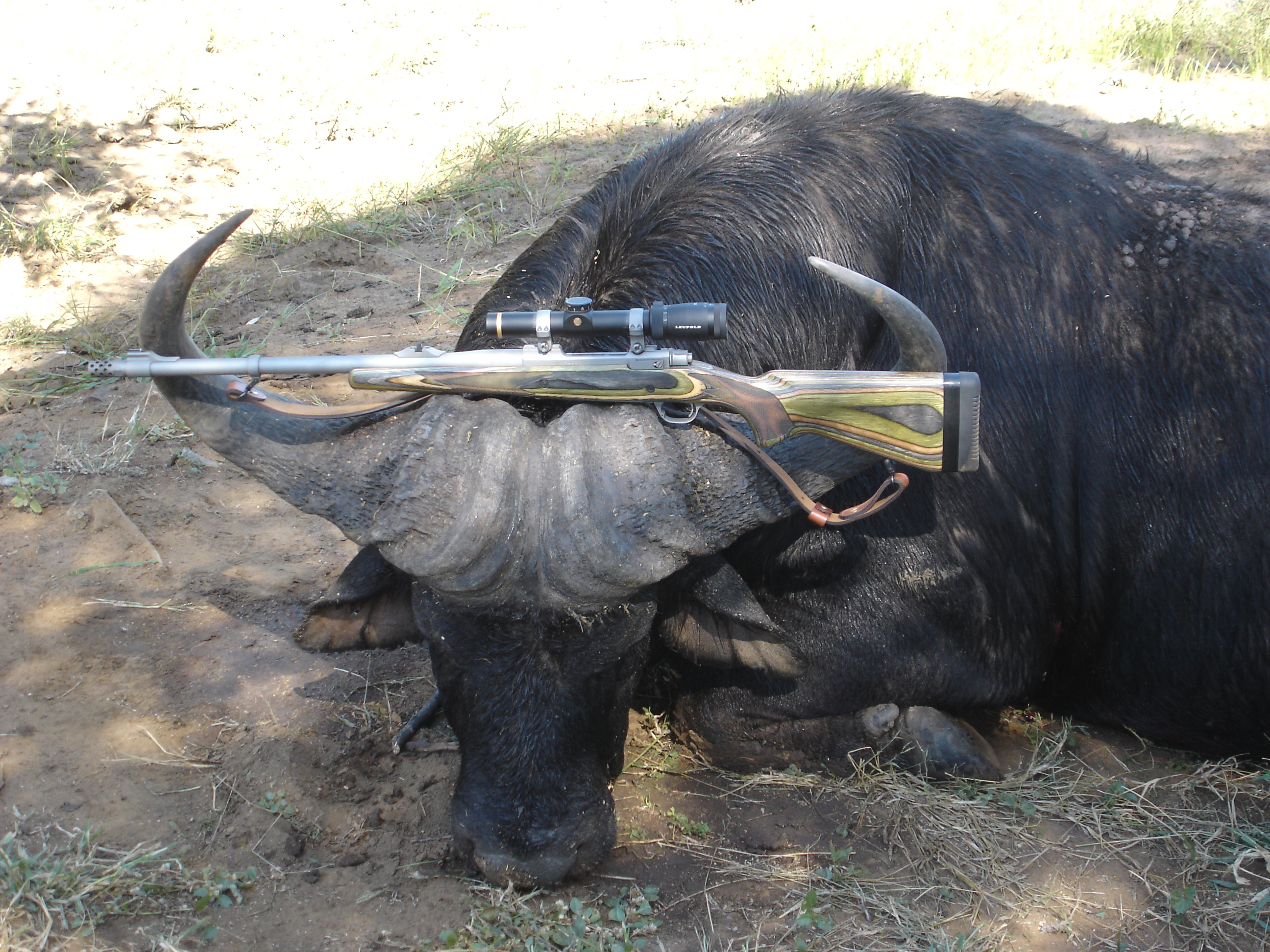 375 Ruger vs 416 Ruger for an all-around rifle | AfricaHunting.com
