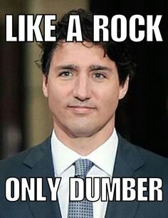 f67c060f67b135b9b66bf29a54ba502c-justin-trudeau-deceit.jpg