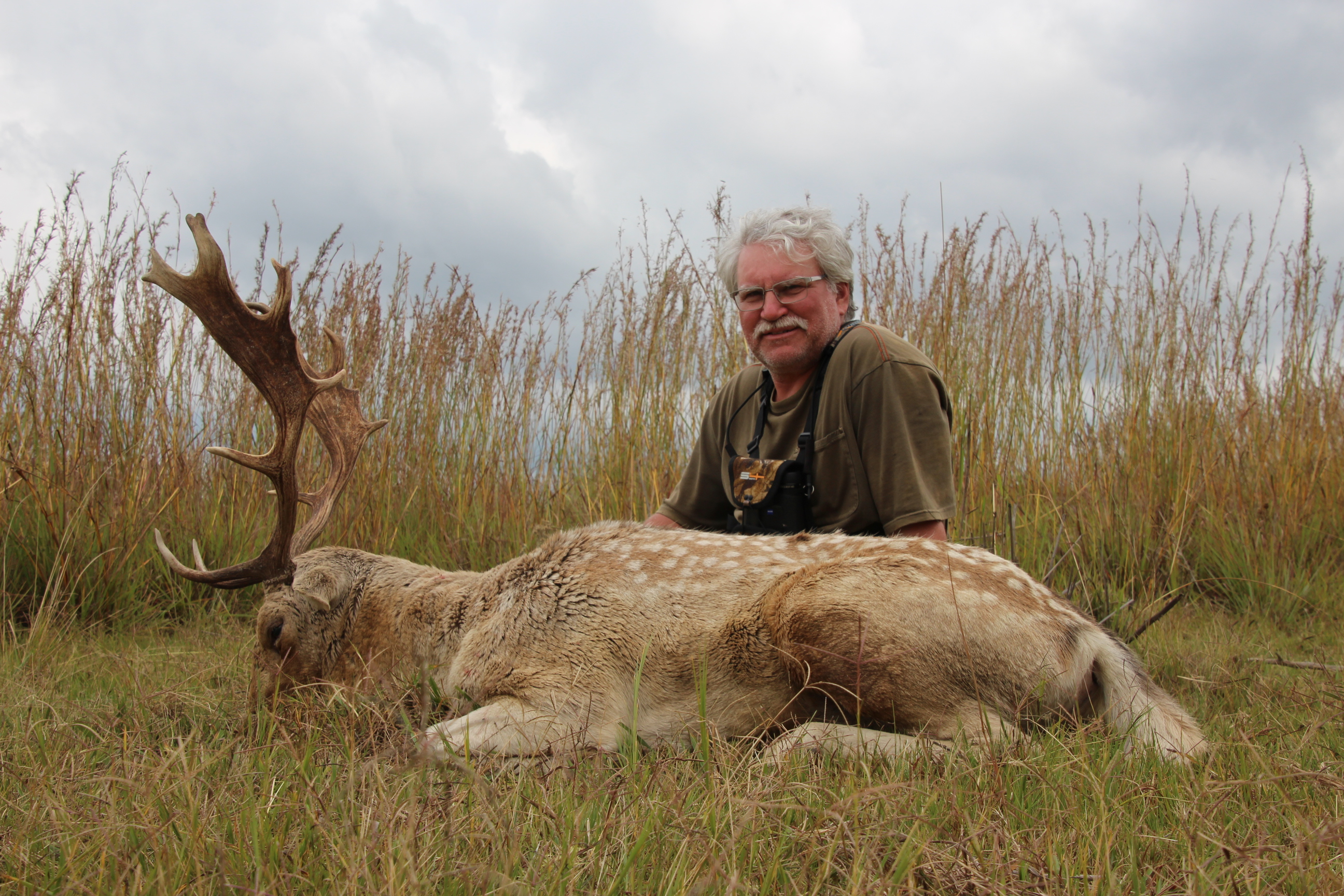 Fallow Deer Spear April2015.JPG