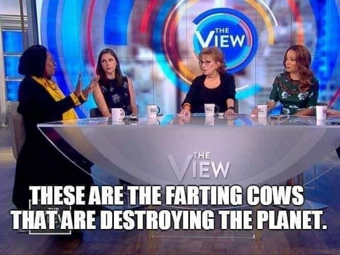 farting_cows.jpg