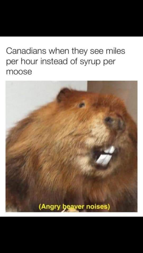 FB_IMG_1559802986528.jpeg