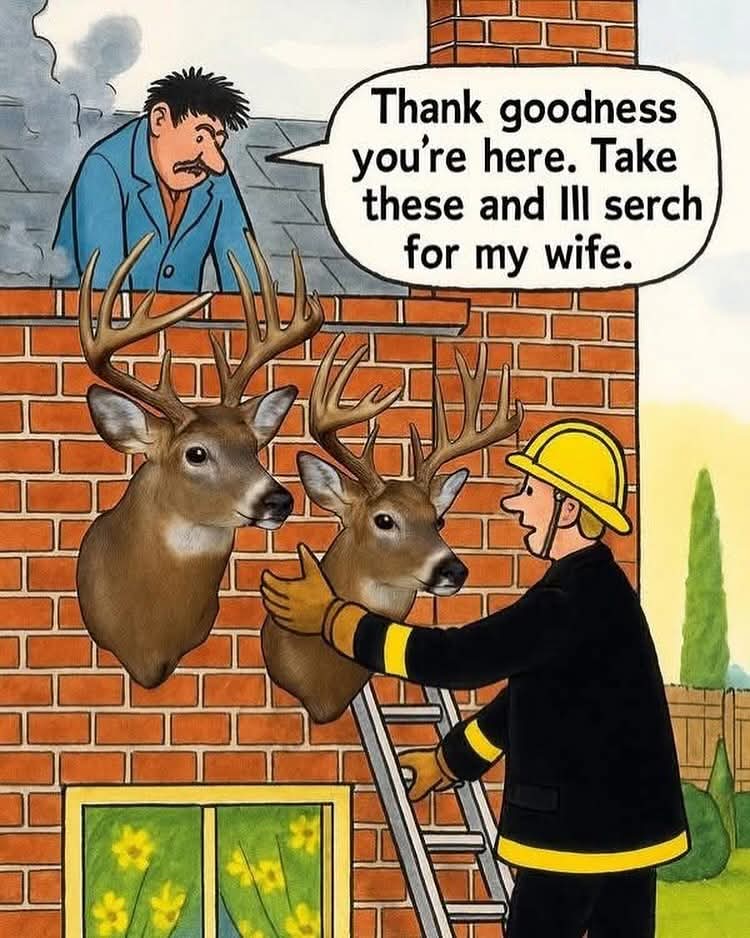 FB_IMG_1747415280287.jpg
