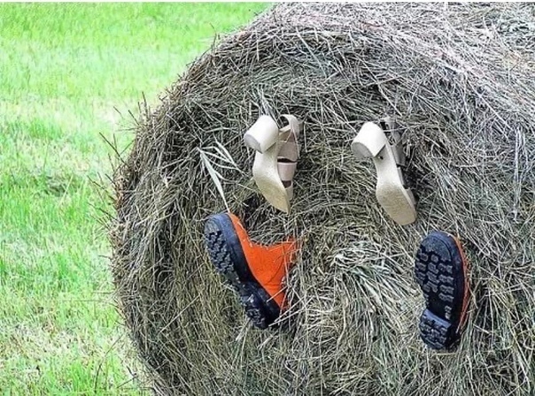 FHYrM-2WPHE.jpg