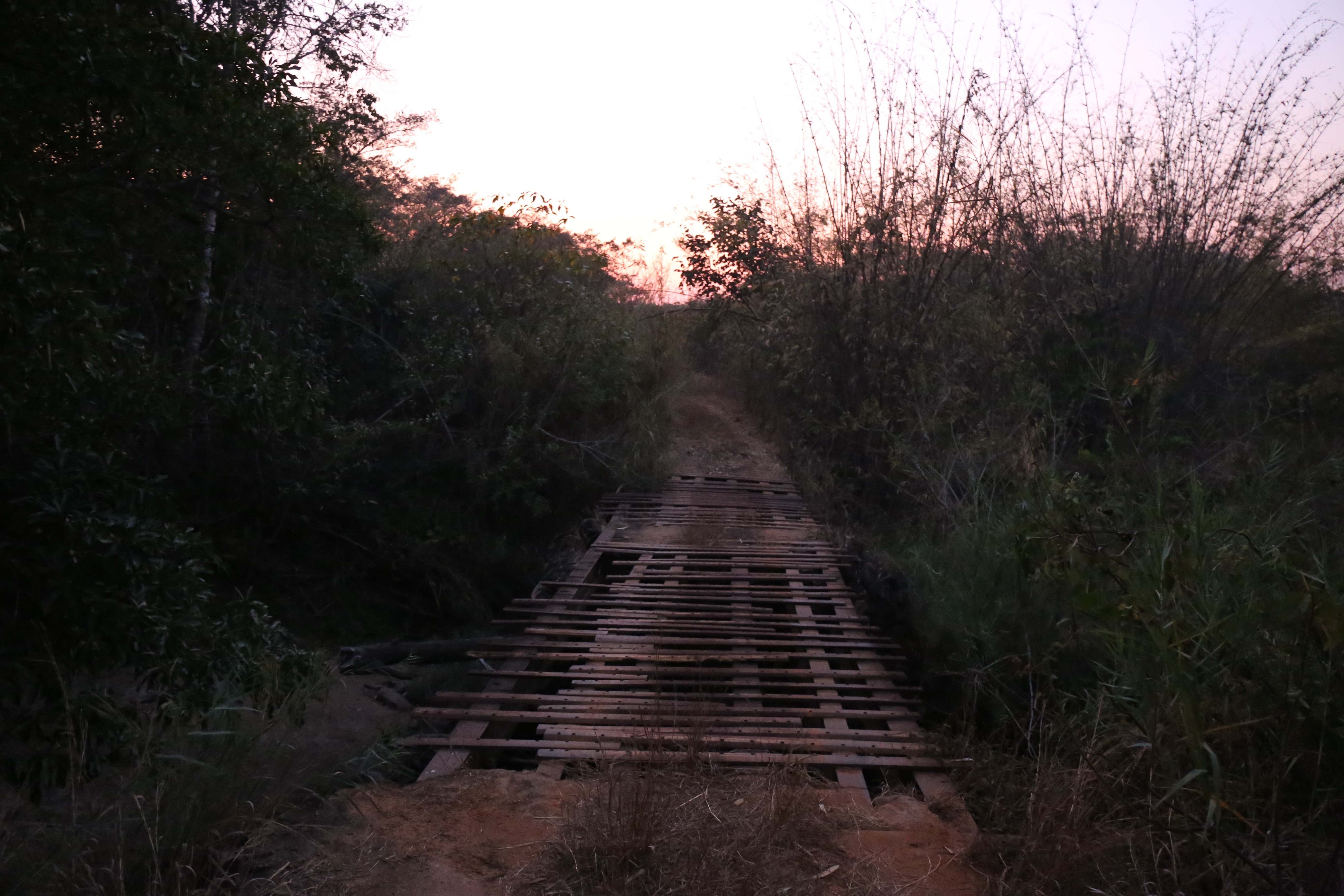 final crossing.jpeg