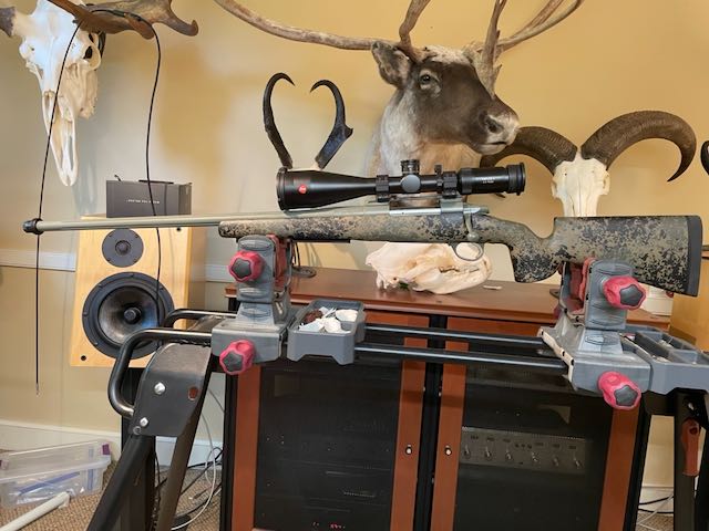 Finished Rifle.jpeg