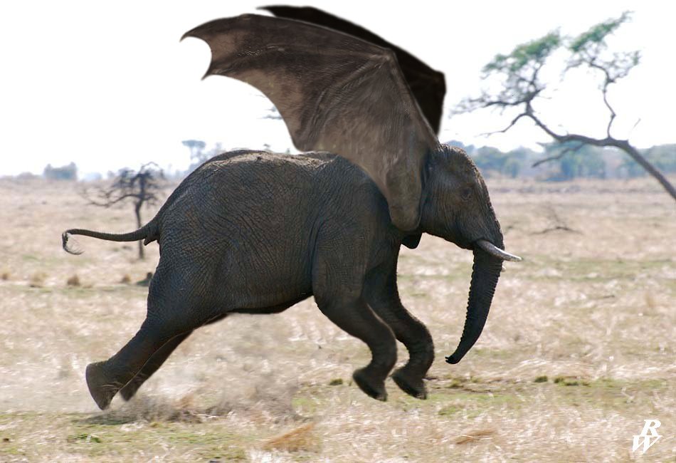 flying_elephant_by_dwarf4r-d5jtr6n.jpg