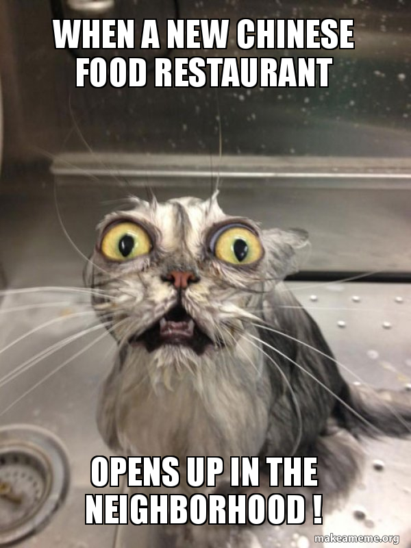 Food Cat.jpg