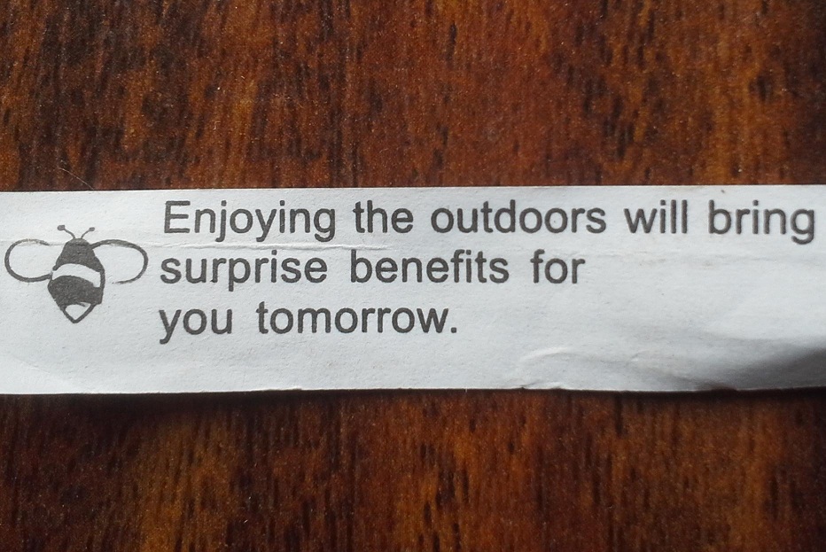 FortuneCookie.jpg