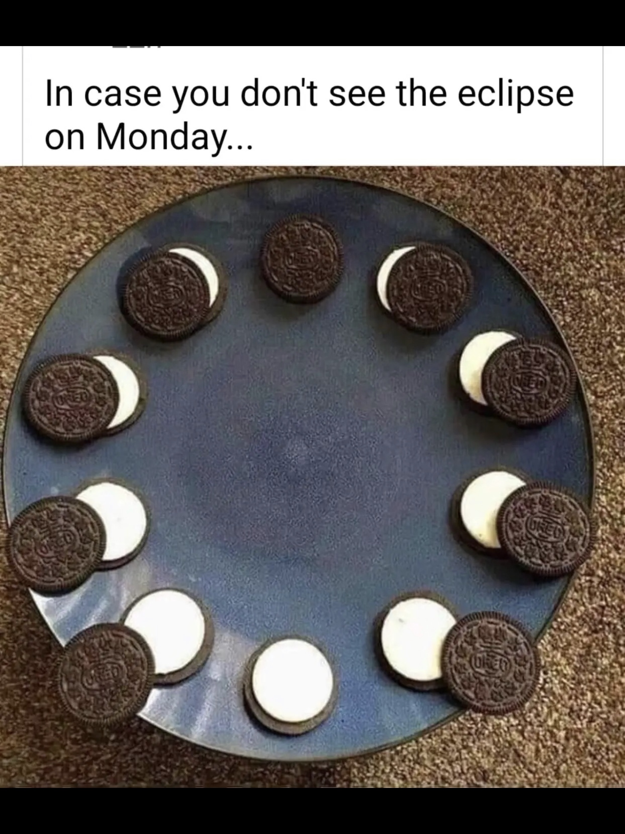 fullsizeoutput_1216.jpeg