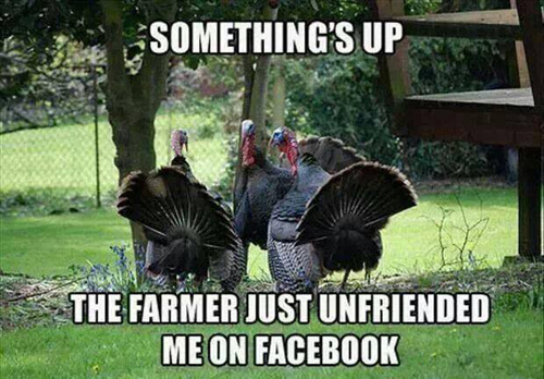 funny-thanksgiving-pictures-7-1.jpg