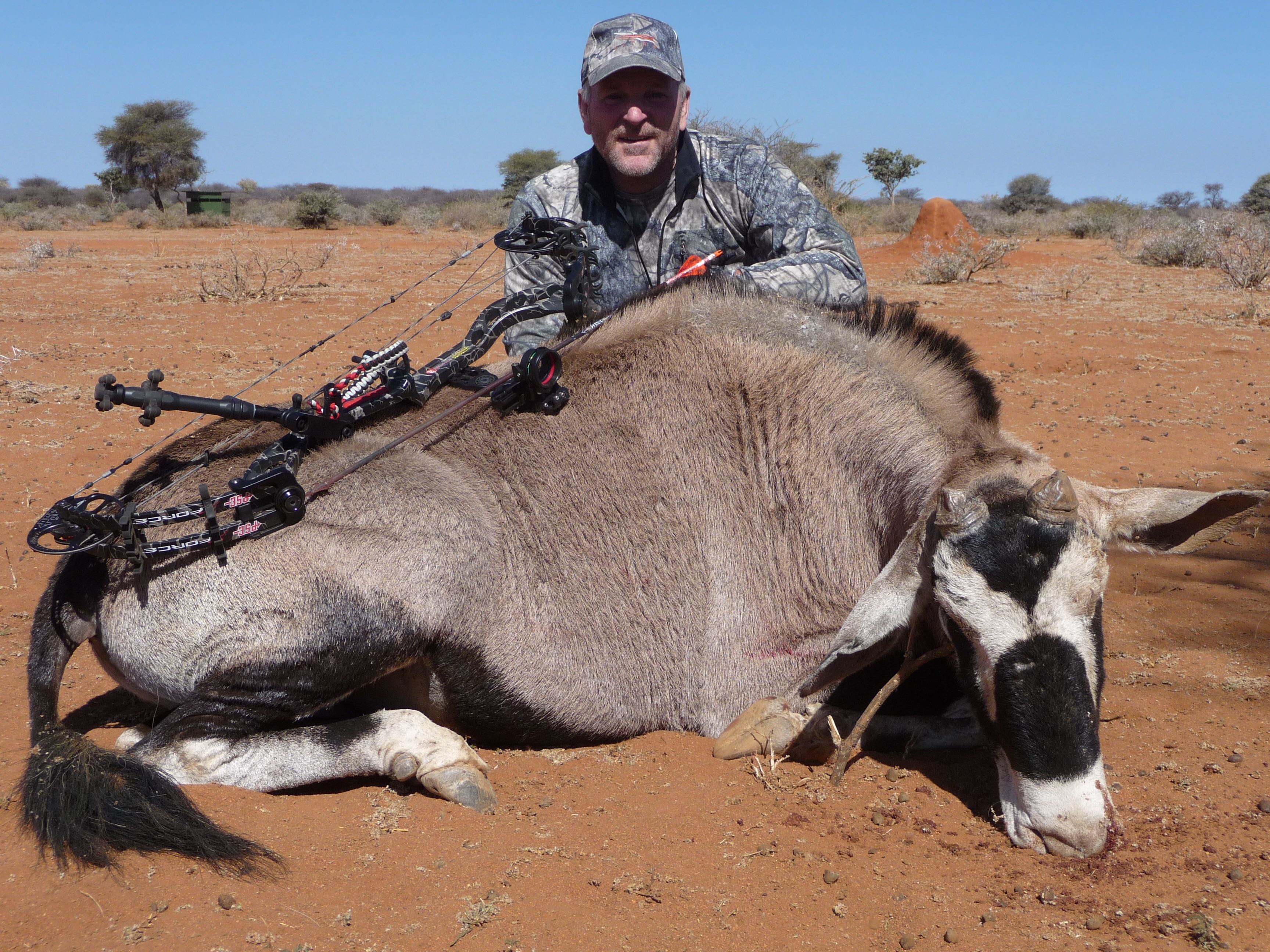 Gemsbok cull.jpg