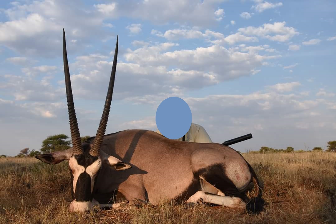 gemsbok-jpg.193513