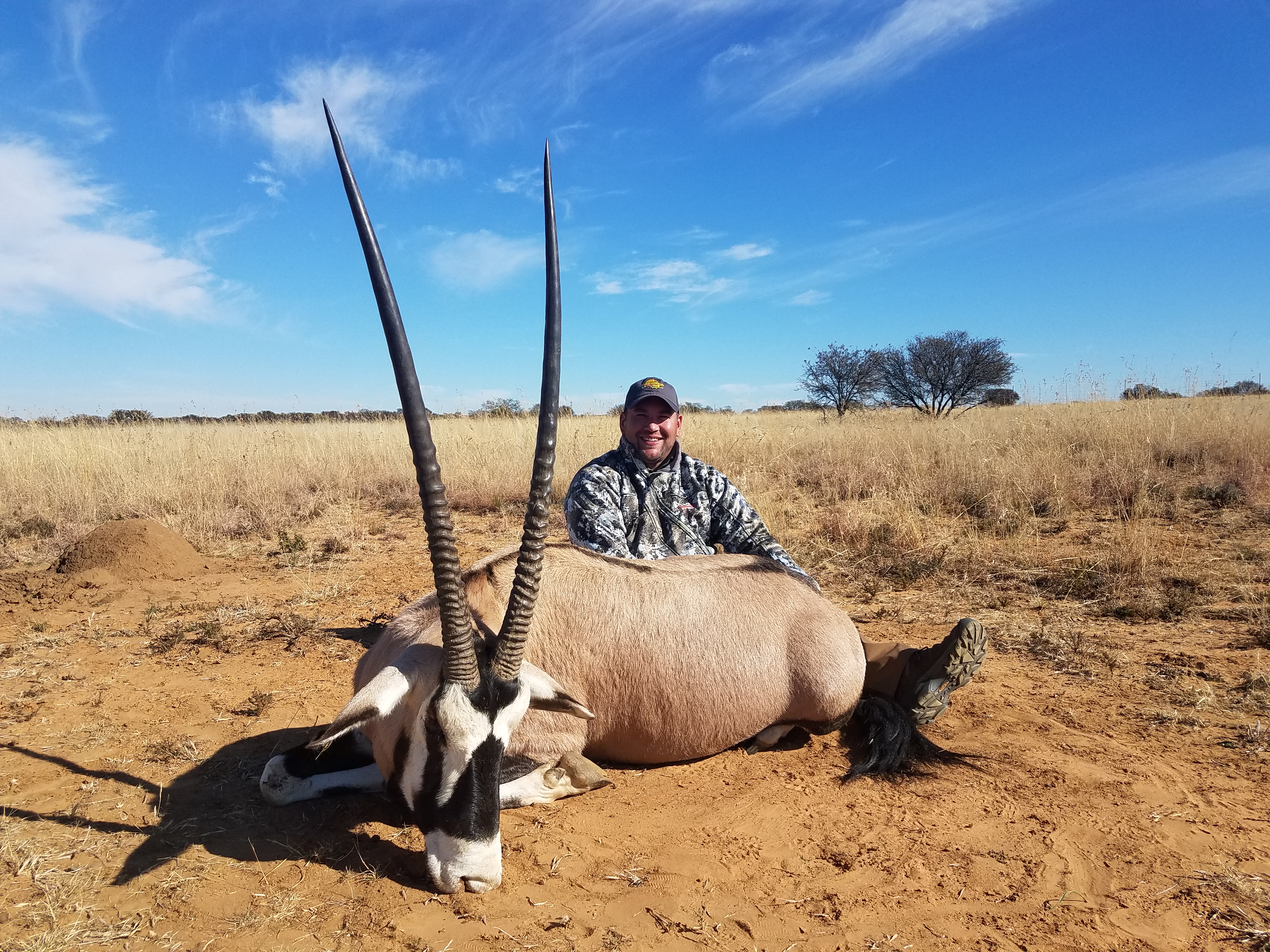 Gemsbok.jpg