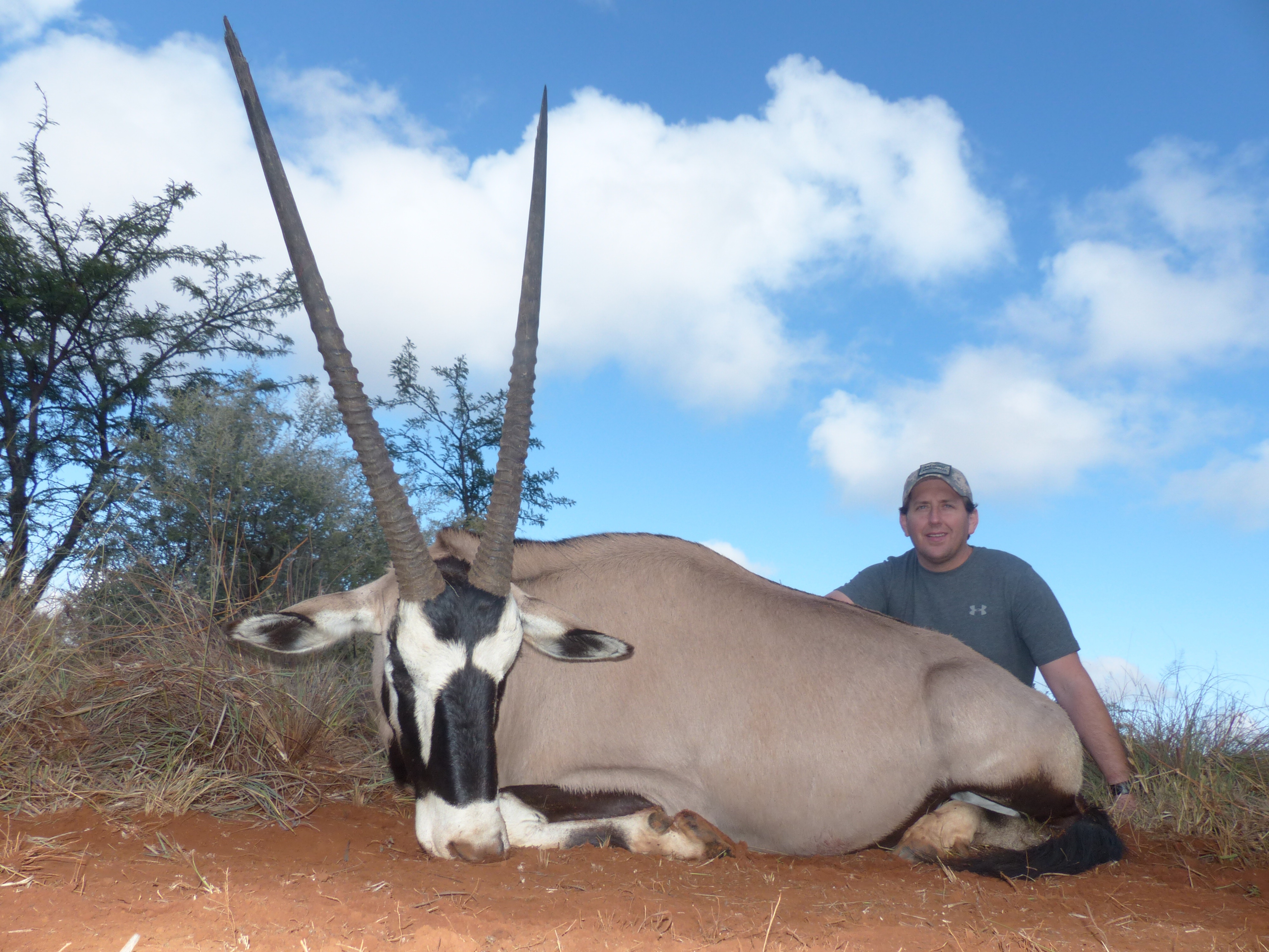 gemsbok.jpg