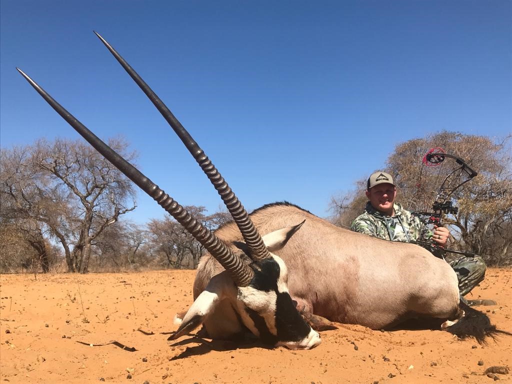 gemsbok.jpg