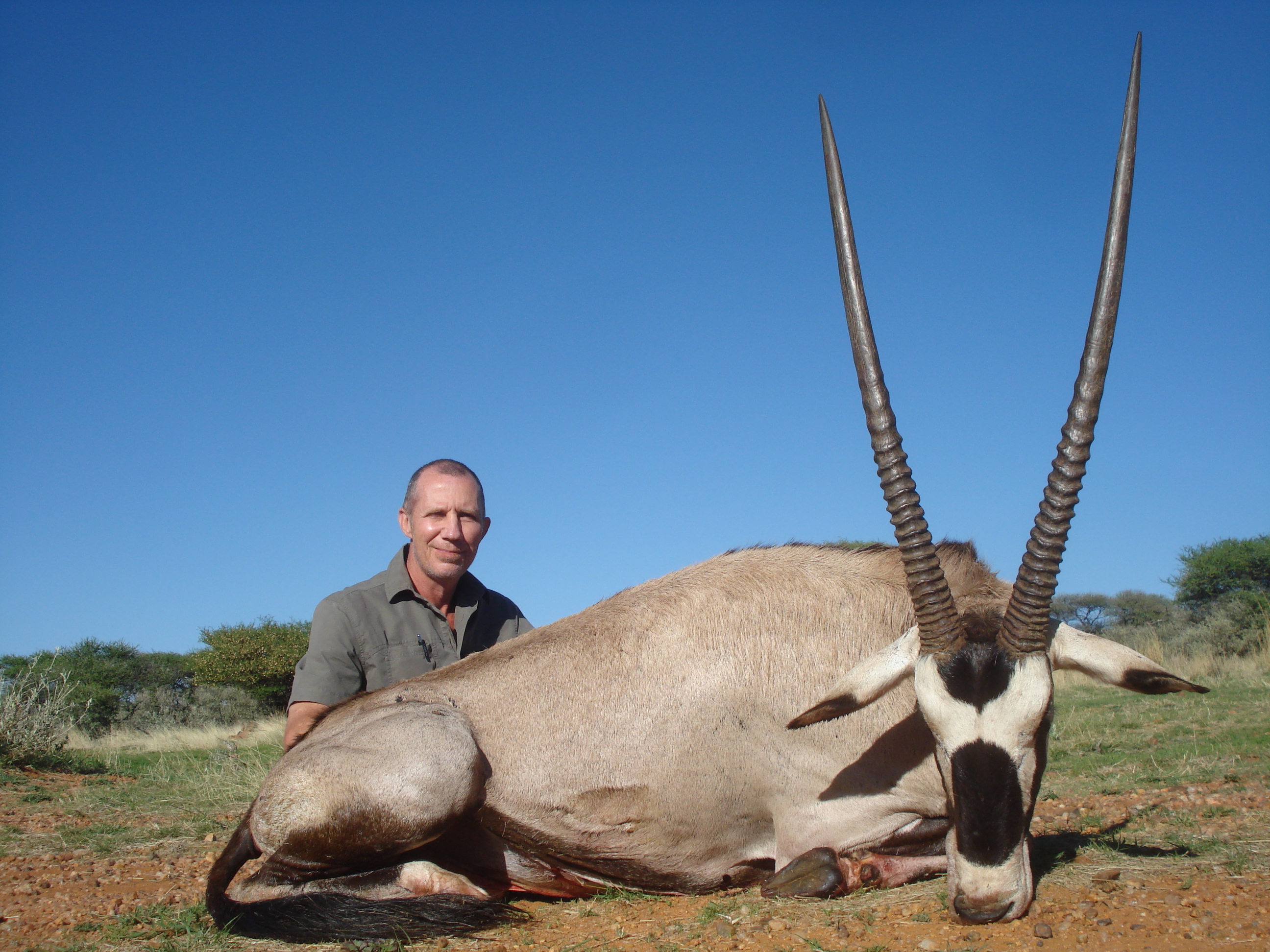 Gemsbok.JPG