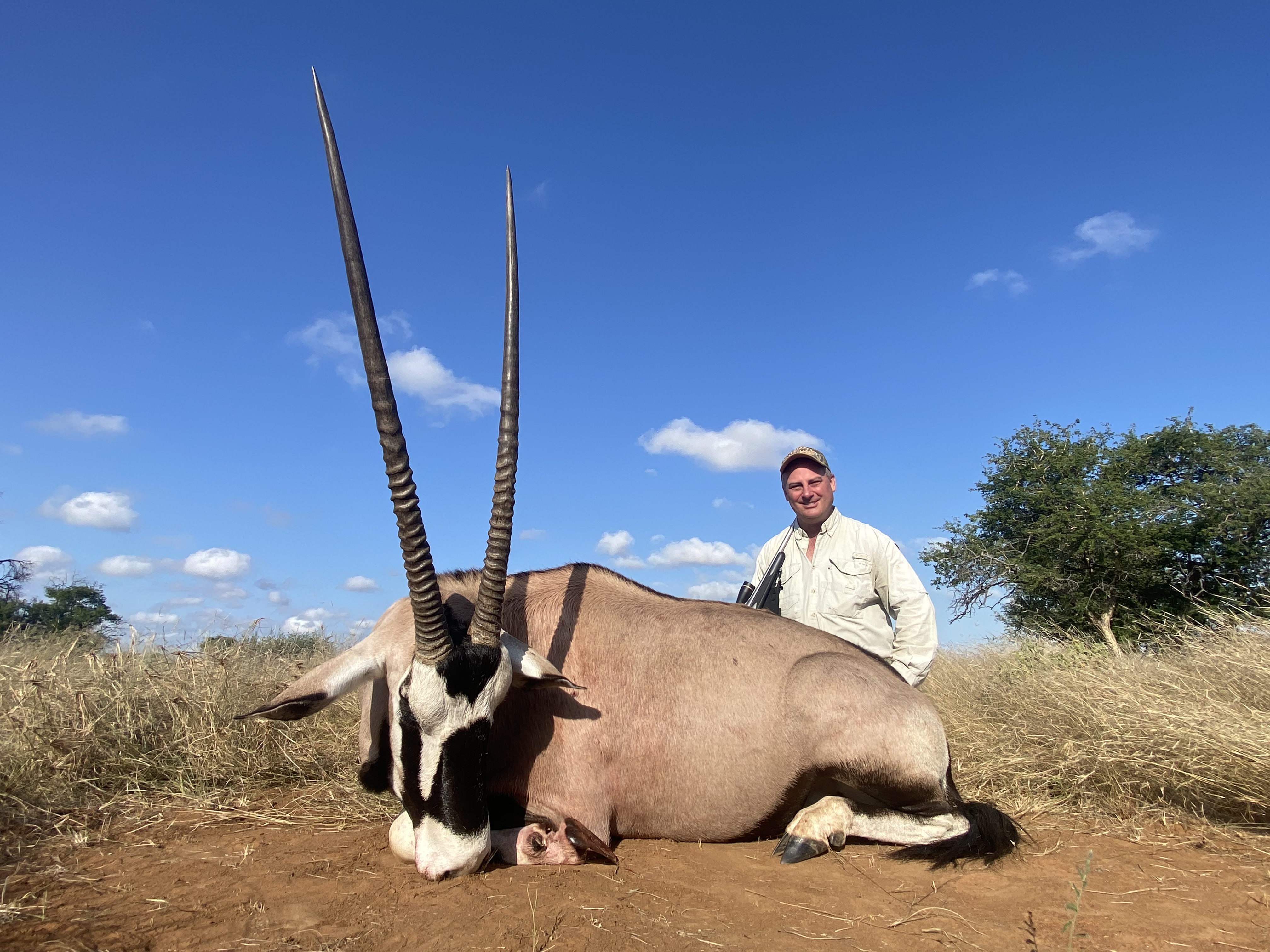 Gemsbok.jpg