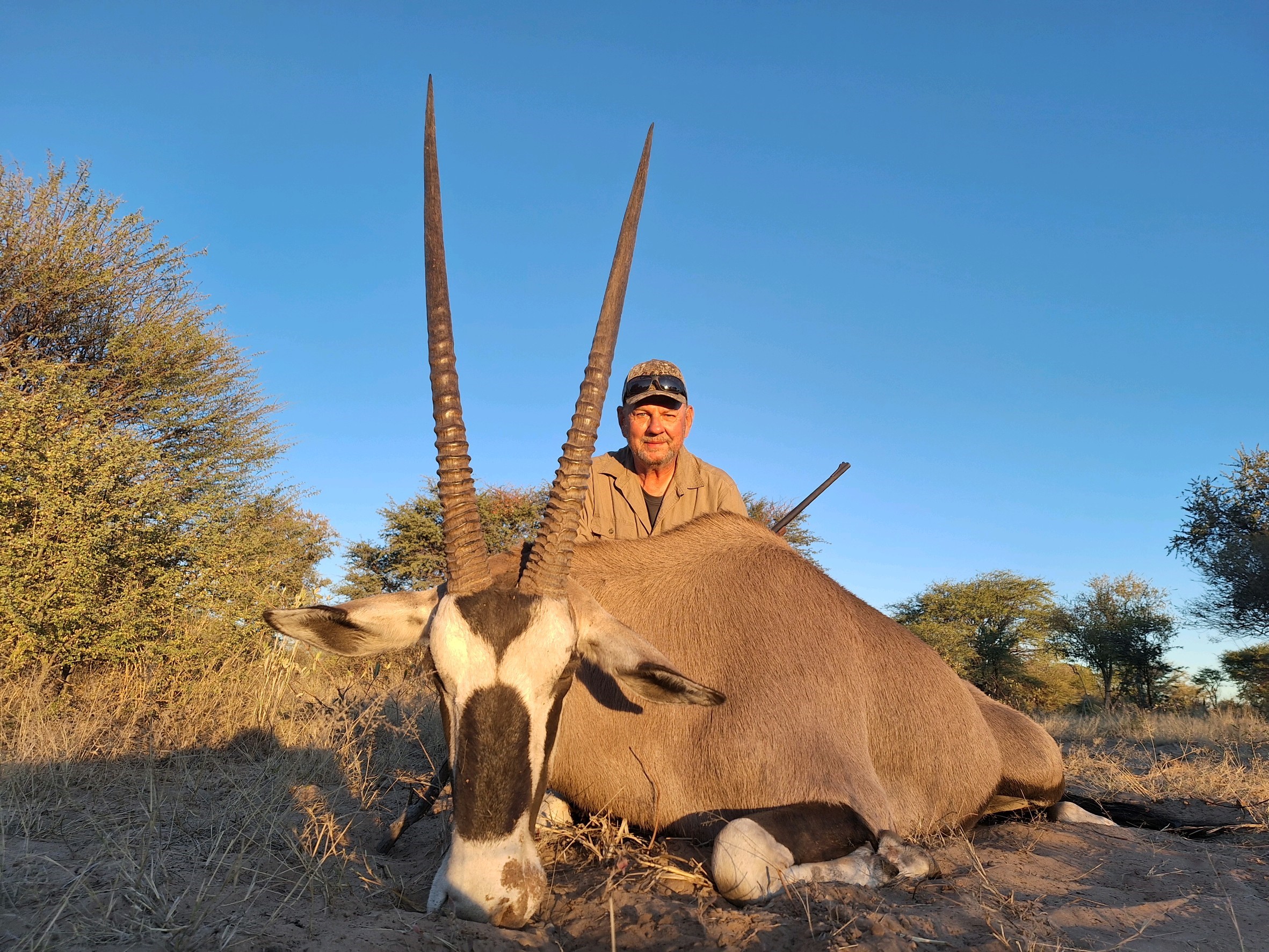 Gemsbok4.jpg