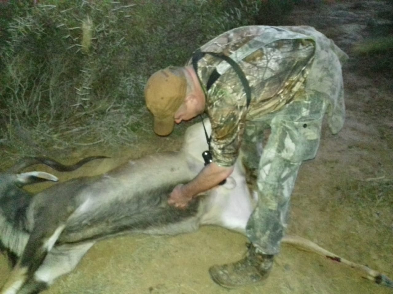 getting my hands dirty.jpg